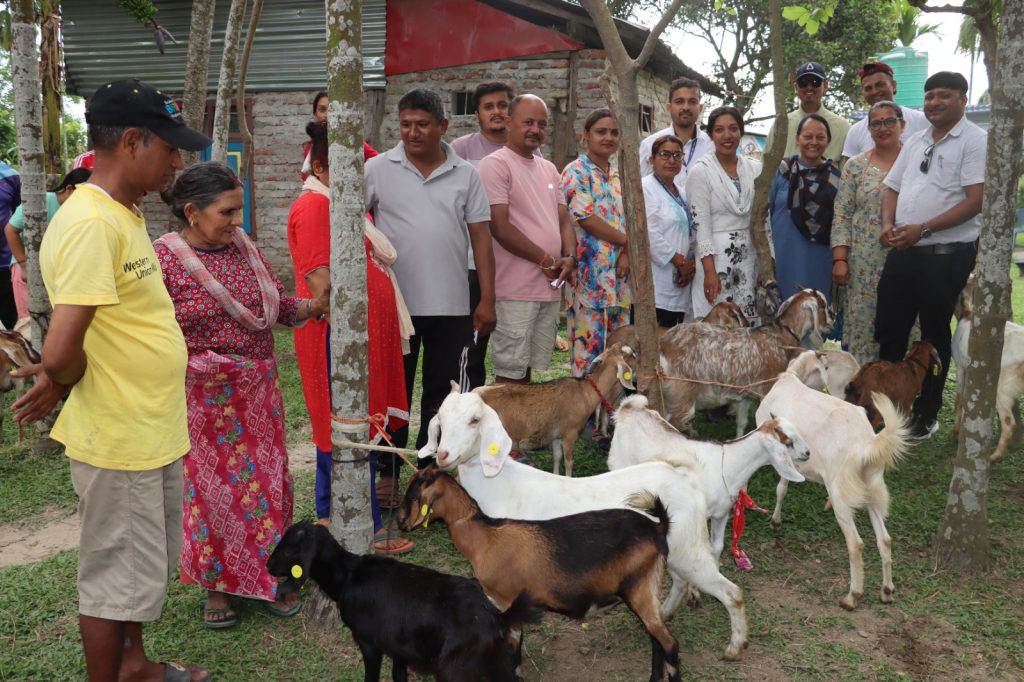 बिर्तामोड ७ सीताराम मन्दिर टोलका कृषक समूहलाई बाख्रा साटासाट कार्यक्रममार्फत सहयोग